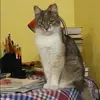 Отзыв от Альбина Мальцева